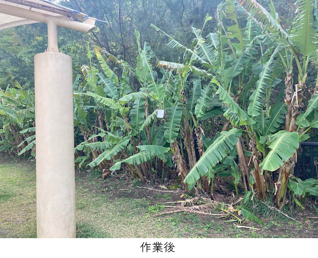 YVC_itobashow20231227-2