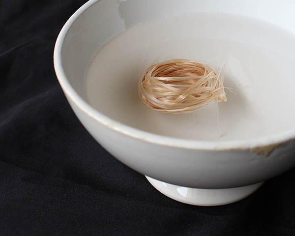 chinguinthebowl202401