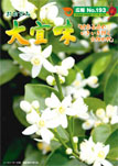 広報おおぎみ2011年4月号の表紙