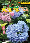 広報おおぎみ2011年6月号の表紙
