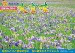 広報おおぎみ2016年5月号の表紙