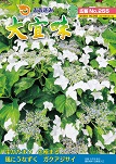 広報おおぎみ2016年6月号の表紙