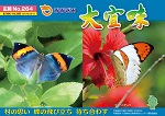 広報おおぎみ2017年3月号の表紙