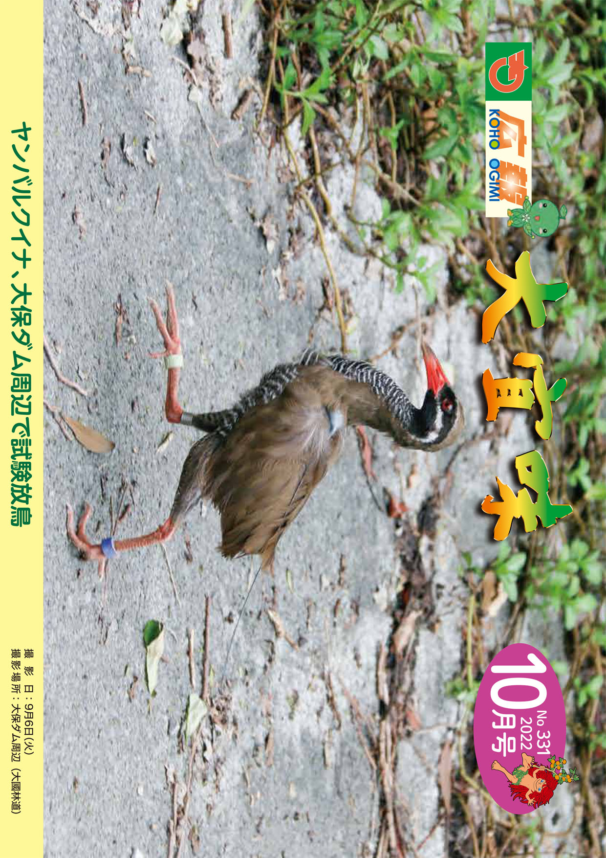 広報おおぎみ2022年10月号の表紙