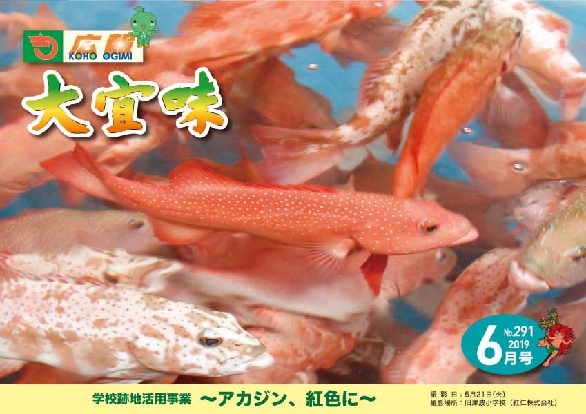 広報おおぎみ2019年6月号の表紙
