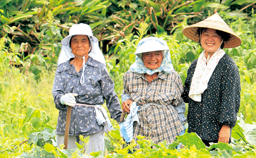 畑を背景に、作業着を着た3人の女性が笑っている写真