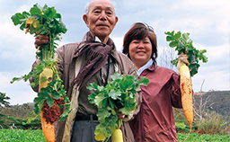 女性と年配の男性が、畑で収穫したばかりの大根を持っている写真