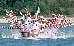 同じ白いハチマキと白い服を着た20名ほどの男性が小さな船に乗り、白・赤・緑の模様が付いた櫂で水をかき舟をこいでいる様子の写真